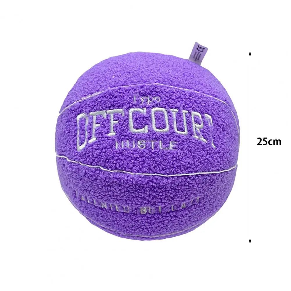 Basketball Pillow - DiscRugs